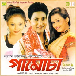 Pakhi Bhangi Soraijoni